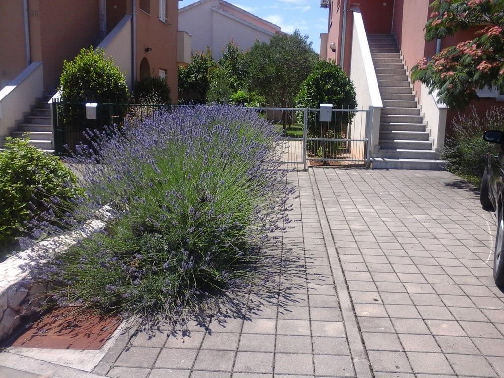 Apartments Danica Vodice Exteriér fotografie
